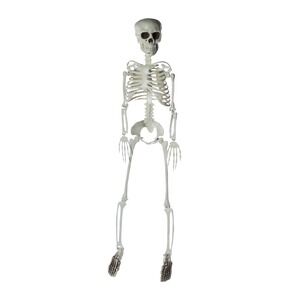 🔥3 Foot Halloween Skeleton Cute & Creepy BNWT🔥